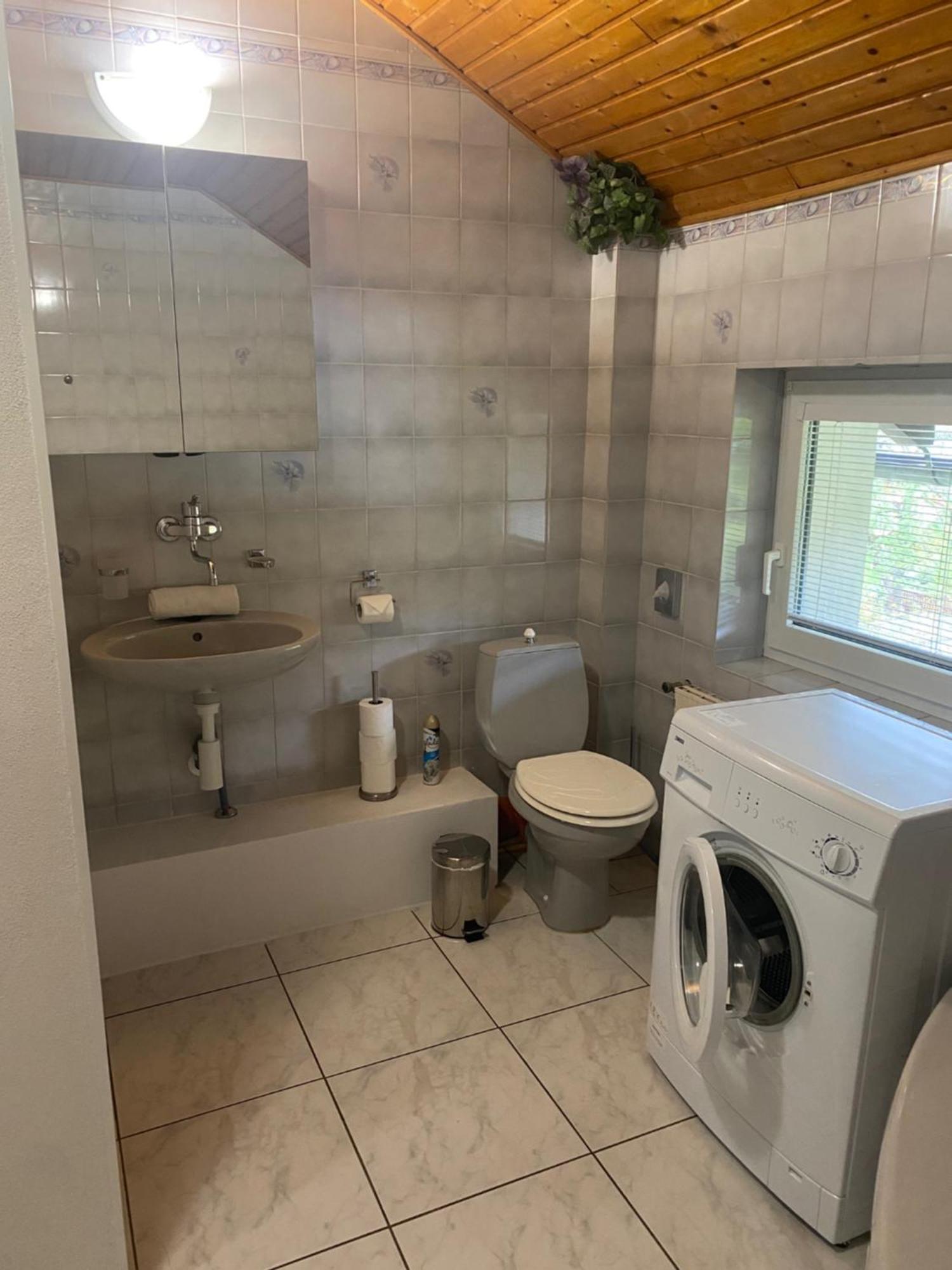 Apartmany Nad Rybnikem Železná Ruda Buitenkant foto